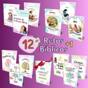 Imagen de 12 retos bíblicos para reflexión y aprendizaje